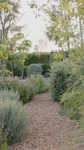 Path In Garden With Different Bushes And Trees With Green Lemons.