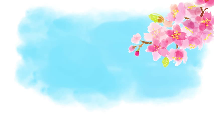 Watercolor branch of cherry blossoms and fluttering petals with blue sky loop animation