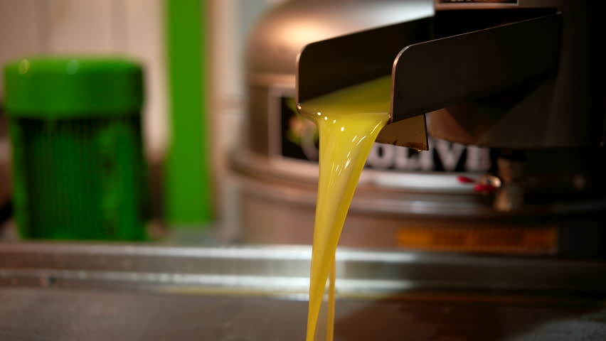 Flowing Fresh Olive Oil From a Press in a Modern Facility