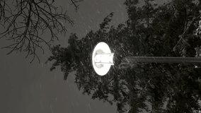 Street lamp in the evening in winter, it is snowing, windy, with a snow-covered spruce in the background - Powered by Shutterstock - Get 15% off with code: PIKWIZARD15