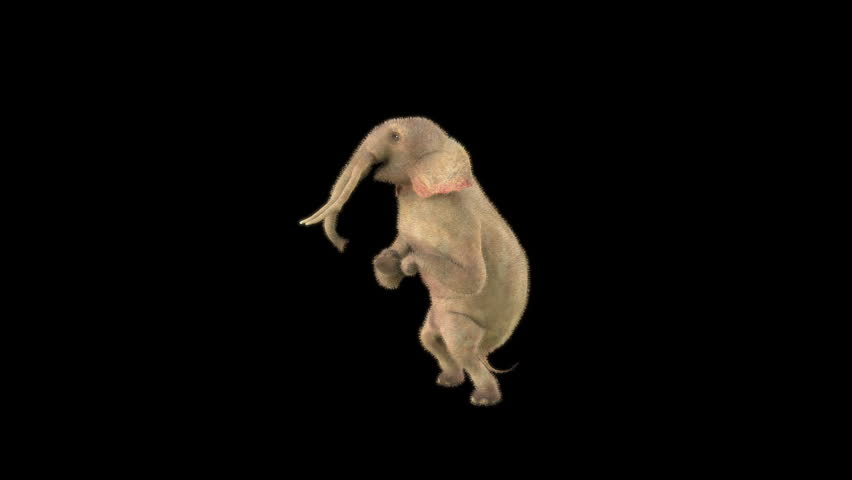 Elephant Dancing 3d rendering animal realistic, Animation 3D, Included in the end of the clip with Luma matte.
