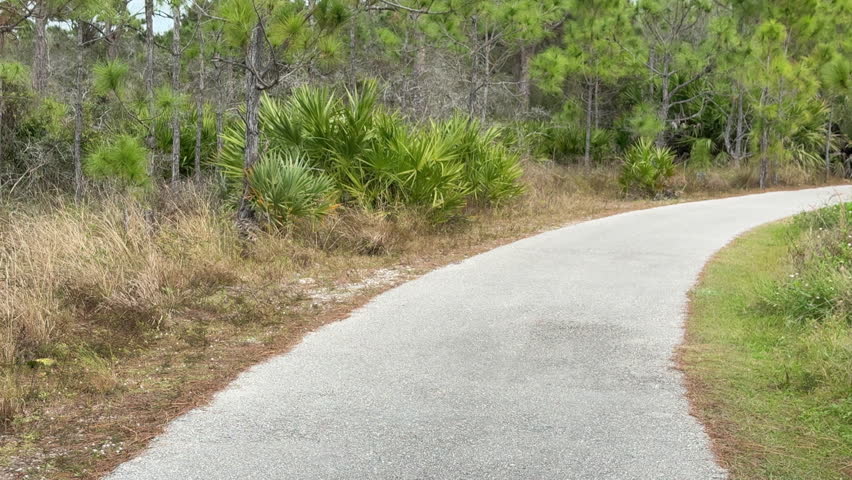 Pan left from curved pavement of a nature trail to a low sign posted in tall grass: "Preserve Area. Do not disturb native animals or vegetation." Conservation motifs. (January in southwest Florida.)
