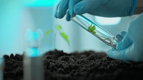 A scientist in blue gloves gently handles a test tube containing a young plant, examining its growth. The work is taking place in a laboratory filled with soil and additional test tubes - Powered by Shutterstock - Get 15% off with code: PIKWIZARD15