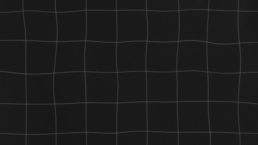 Shutterstock Video