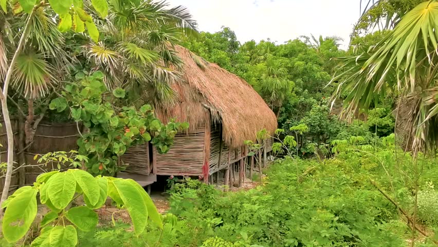 Wooden maya mayan huts in the green tropical jungle in Tulum Quintana Roo Mexico.