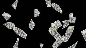 4K Resolution Videos,American Fifty Dollar Bill Videos,American One Hundred Dollar Bill Videos,American Twenty Dollar Bill Videos, Dollar Fly - Powered by Shutterstock - Get 15% off with code: PIKWIZARD15