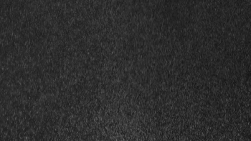 Night Rain. Heavy night rain with wind in the headlights on a black background