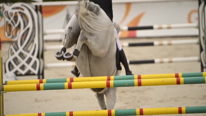 Graceful horse and rider team showcase agility in equestrian show jumping competition