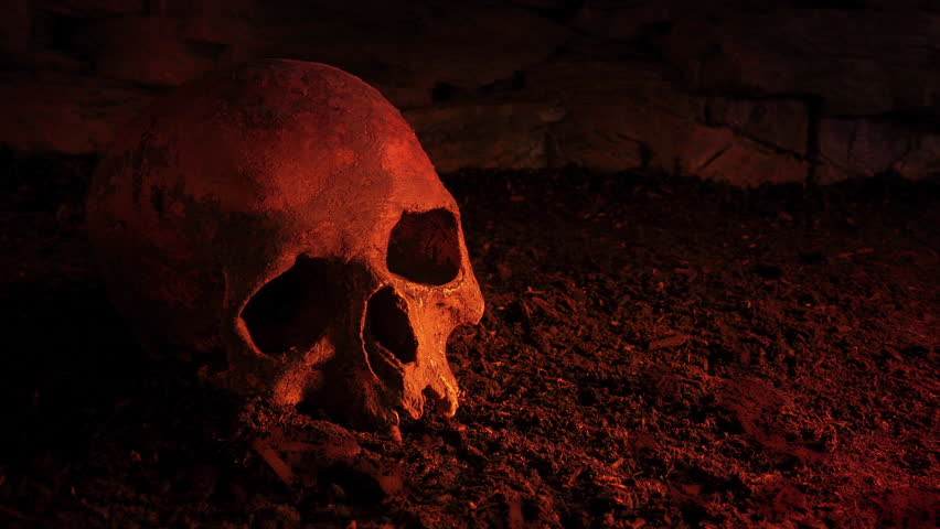 Old Skull On The Ground In Fire Glow