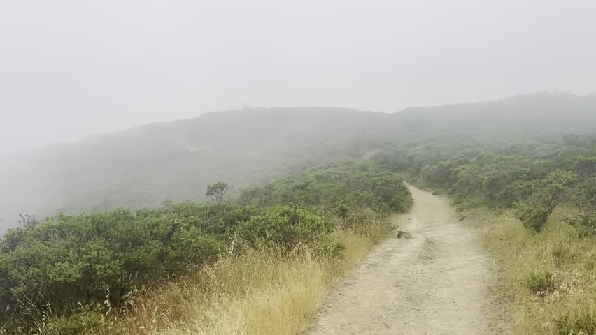 Fog rolling over a hilltop trail in Marin County, California 