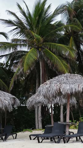Deck chairs on the Cuban beach in Varadero, Cuba. A sprawling palm tree on the ocean shore. Turquoise waves on a sandy beach with snow-white sand. The territory of the hotel on Liberty Island. 4K 