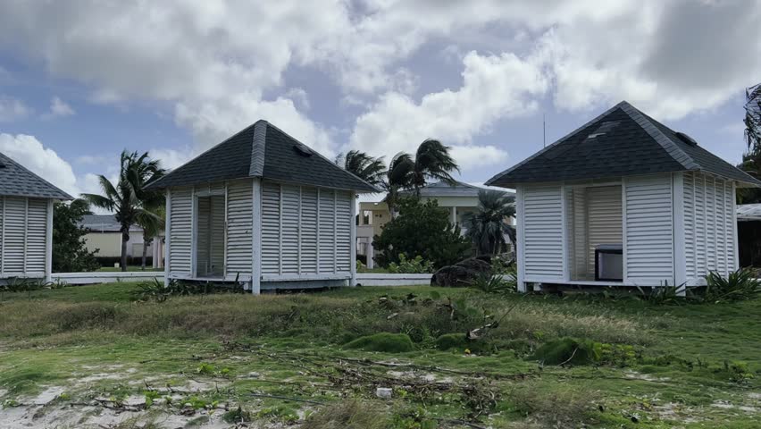 Varadero, Cuba, 03.12.2023. Coconut palm leaves sway in the wind on the territory of a hotel with white buildings in Cuba. Vacation on the Caribbean coast on Liberty Island. 4К