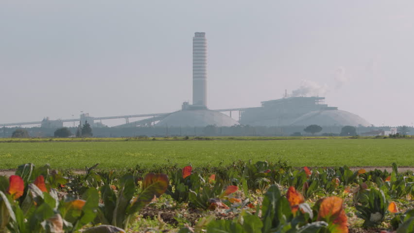 Cabbage fields close Thermoelectric Power Station in Cerano. Brindisi - Italy