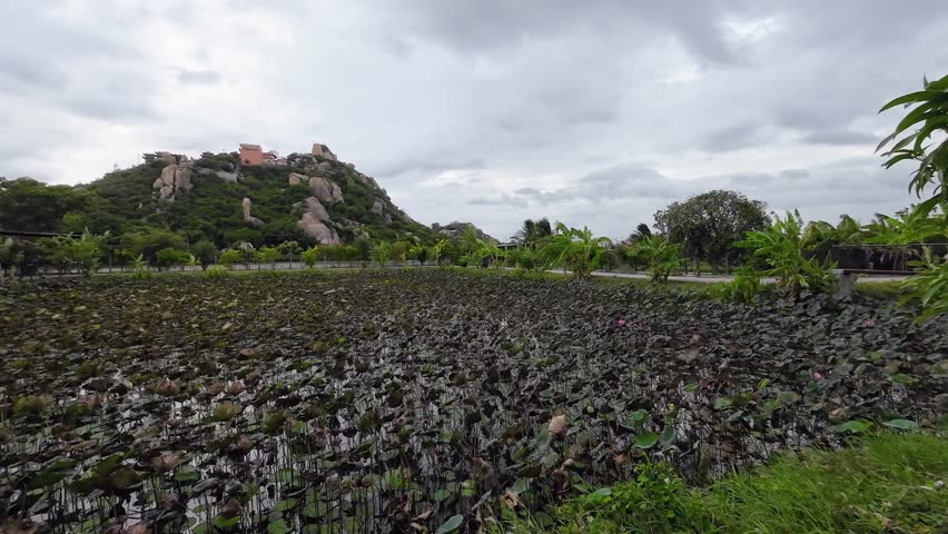 Temple in Vietnam with Pond full of Sea Roses with Buddha Statue in The Middle.
South East Asia Buddhist Temple.
Temple perched on a Mountain in Background