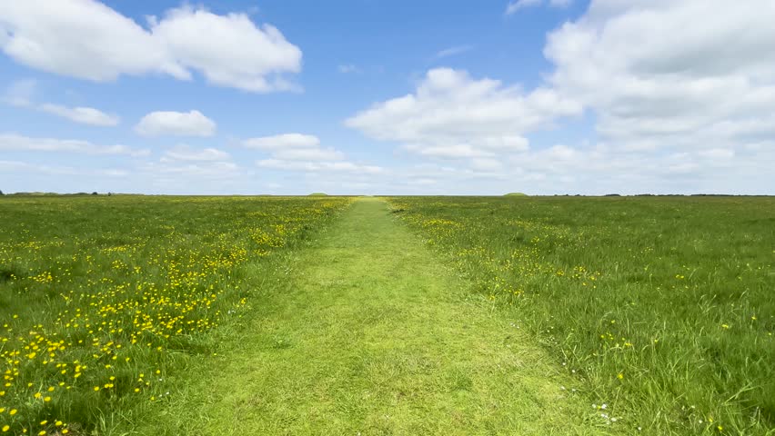 Walking on Open Grass Field Pathway