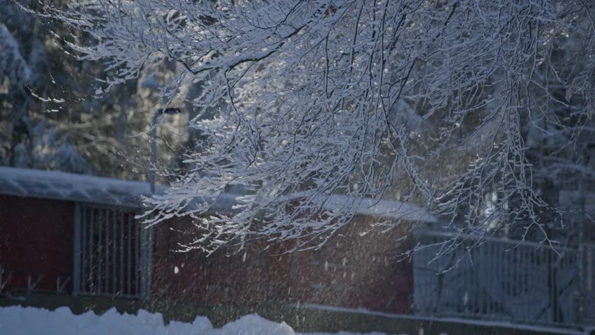 Snowing Slow Motion Video with Tree in Landscape Beautiful Relaxing Moody