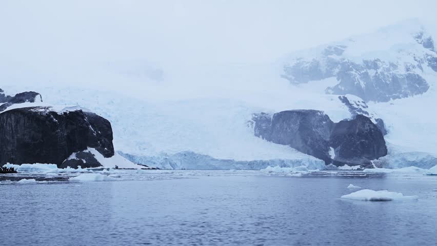 Antarctica Scenery and Penguins Jumping and Porpoising while Swimming in the Water in the Southern Ocean Sea, Sow Motion Antarctica Wildlife of Amazing Gentoo Penguin Animal Behaviour in Antarctic