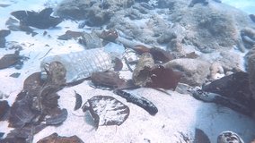 Plastic bottles litter the sandy ocean floor, surrounded by organic debris, vividly illustrating the persistent issue of plastic pollution and its impact on marine ecosystems. - Powered by Shutterstock - Get 15% off with code: PIKWIZARD15