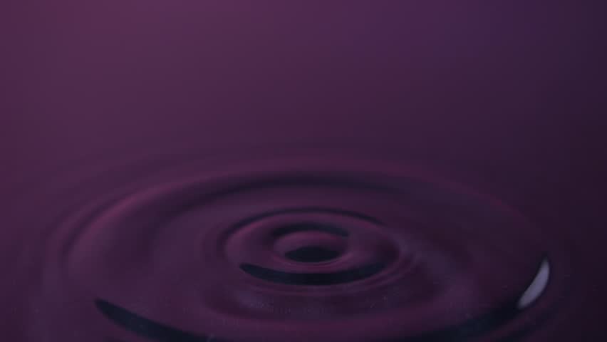 A drop lands on a smooth pink-purple water surface, producing a crown splash and spreading concentric ripples in slow motion.