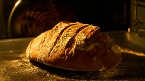 Homemade bread baking in oven. Making bread and eco production. Bread is raised and baked. Organic fresh bread. Timelapse. Food concept. Close-up in 4K, UHD - Powered by Shutterstock - Get 15% off with code: PIKWIZARD15
