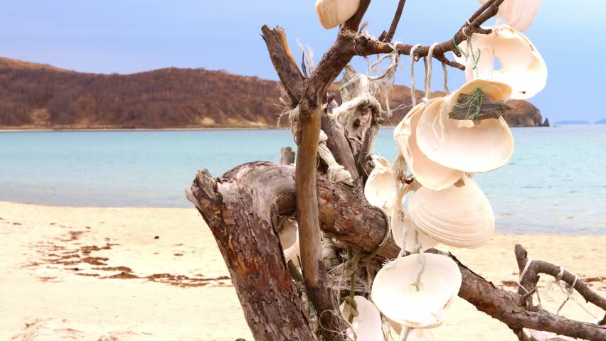 Garland of shells hanging on tree on shore of lake creates cozy atmosphere harmonious aesthetic of nature Breeze sways shells enhancing serenity Tree symbolizes connection peace and natural beauty