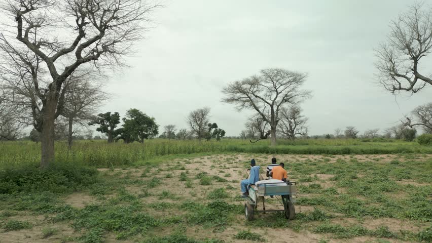 Aerial view of two farmers on a donkey cart in the Fatick region in Senegal