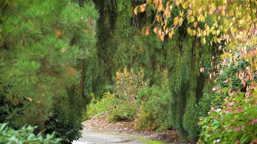 Landscape of lily pond at public park stairway on far shore and communication tower in background.