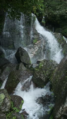 Waterfall and Rocks in Jungle Scenery, Small Waterfall Landscape in Rugged Rocky Scene in the Himalayas in Nepal, Vertical Video for Social Media Instagram Reels and Tiktok