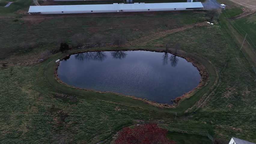 Private Pond beside chicken house farm at sunset time. American agricultural farm fields and countryside in fall season. Aerial tilt up wide shot.