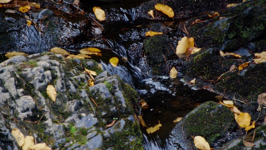 A Gorgeous Mountain Waterfall Flows Through The Autumn Forest Of Truro, Nova Scotia. The Small Stream Cascades Over Rocks, Surrounded By Autumn Leaves, Leading To A Calm And Reflective Lake.