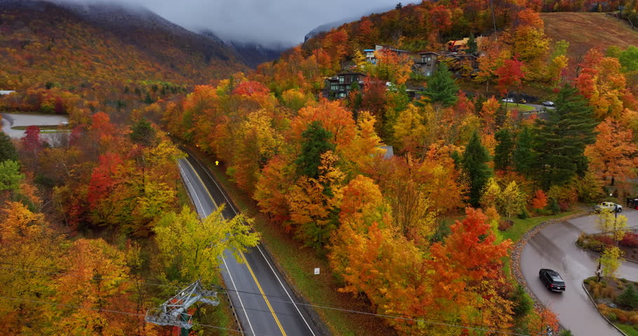Beautiful rocks covered with bright colorful forests. A few cottages located on the rocks among the trees. Aerial view.