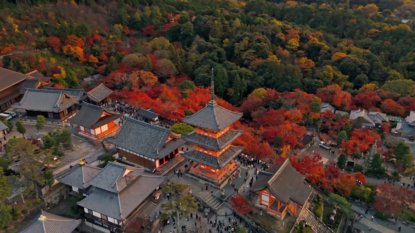 A breathtaking drone clip of Kiyomizu-dera Pagoda in Kyoto at sunset, capturing the peak of autumn's red foliage.