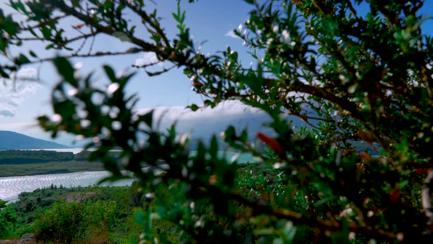 Landscape of a large valley with forest, a lake and mountains in the background with a cascade of clouds on a sunny day with blue sky. From the Pyrenees, village of Ruesta, Zaragoza, Aragon, Spain.