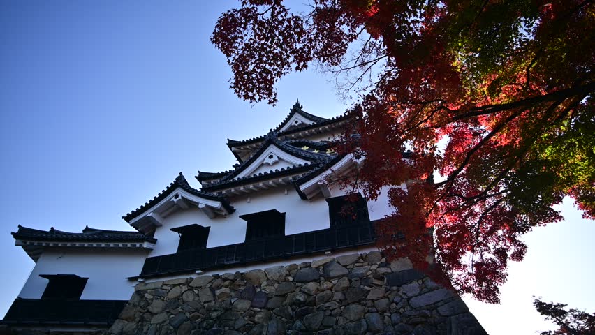 An autumn morning of HIKONE-JO castle (HIKONE, SHIGA, 2024, Dec.)