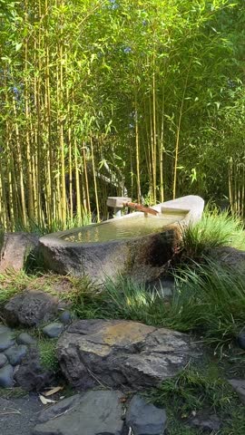 In Japanese Garden - Portland, Oregon