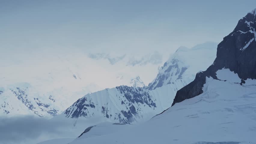 Shutterstock Video