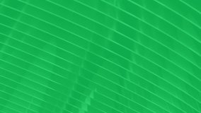 4k thin black moving 3d flat lines on white background. Seamless looping morph layout BG for basic orange, red, colorful text. Wavy dynamic elegant pattern. Dark stroke on light. Motion curved ban - Powered by Shutterstock - Get 15% off with code: PIKWIZARD15