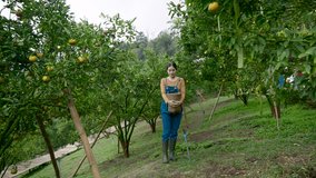 Asian female farmer in casual attire standing in an organic orange orchard holding a woven basket, symbolizing sustainable farming, eco-friendly practices, and small business entrepreneurship. - Powered by Shutterstock - Get 15% off with code: PIKWIZARD15