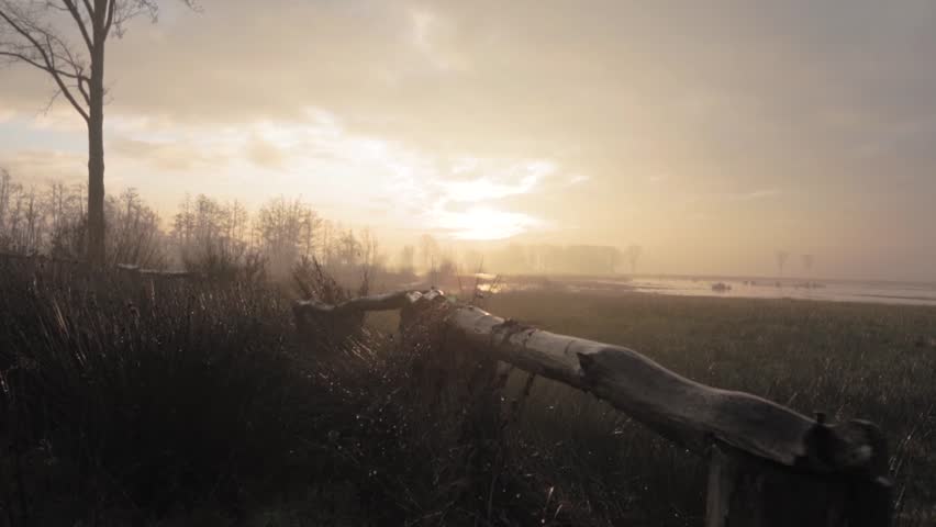 Scenic view of wooden railing and grassy landscape with soft lighting at sunset, sky filled with clouds creating a peaceful atmosphere