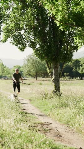 A man power walks his dog with canicross gear down a dirt path in a peaceful park. The sun shines through the trees, creating a serene atmosphere, a perfect setting for a leisurely stroll.