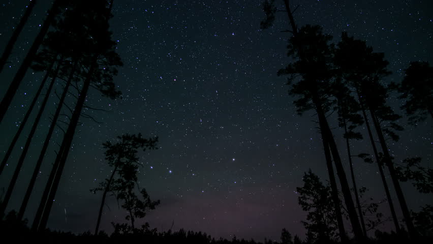 Time lapse of captures mesmerizing star trails spiraling above a dark forest. Tall trees silhouette against a vibrant sky filled with dancing celestial lights.