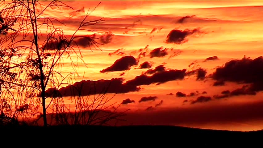 Trees gently bend in front of a spectacular rural sunset