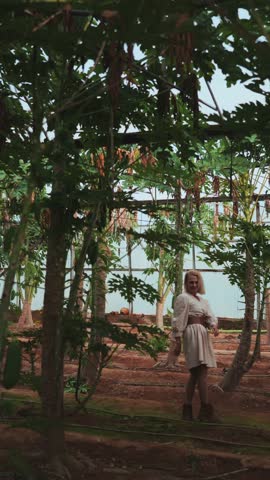 A person dancing in a vibrant papaya farm, surrounded by tall trees and rich foliage during the day.