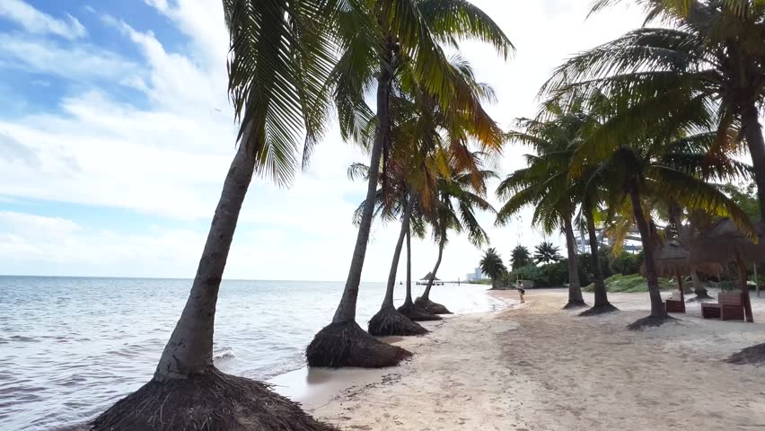 Paradise Sunny beach with palms and turquoise sea. Summer vacation and tropical beach concept - Cancun, Mexico