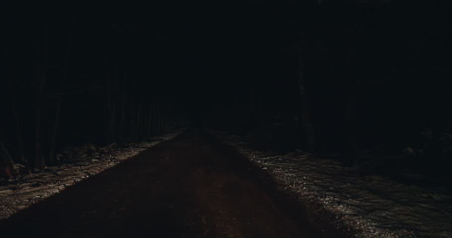 Dim headlights piercing dense winter forest darkness, revealing winding dirt road leading through mysterious woodland landscape with haunting nocturnal atmosphere.
