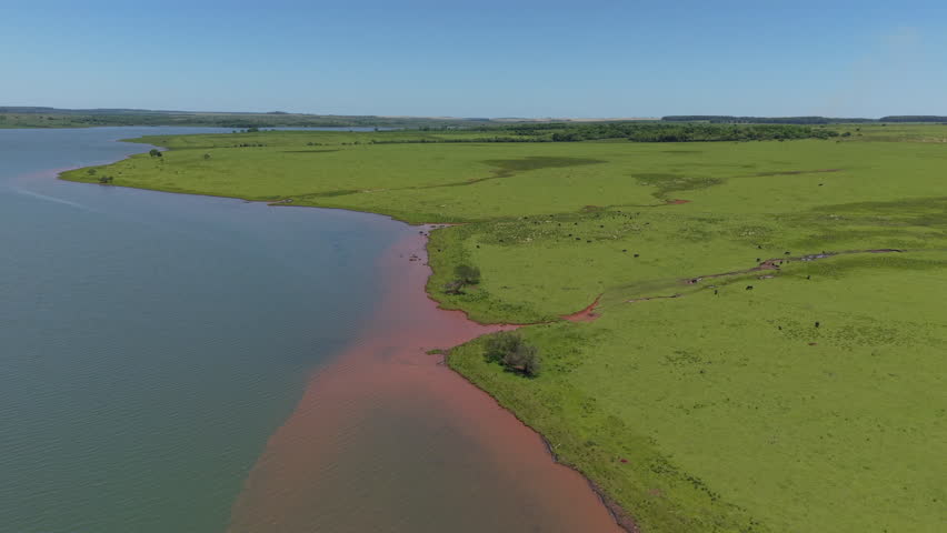 Aerial zoom in drone view of green field with a lake. Coast.