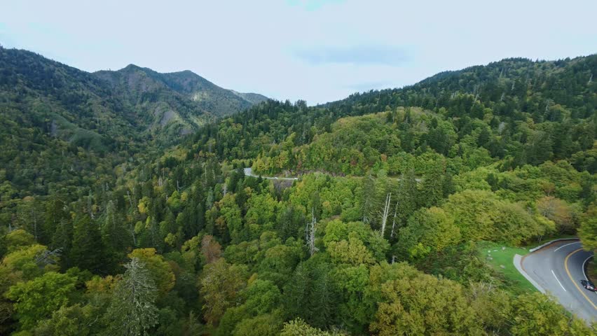 Aerial shot of Smoky Mountains highlighting dense green forests winding roads weaving through hilly terrain landscape natural beauty adventure Drone View of Smoky Mountains Forest Winding Roads