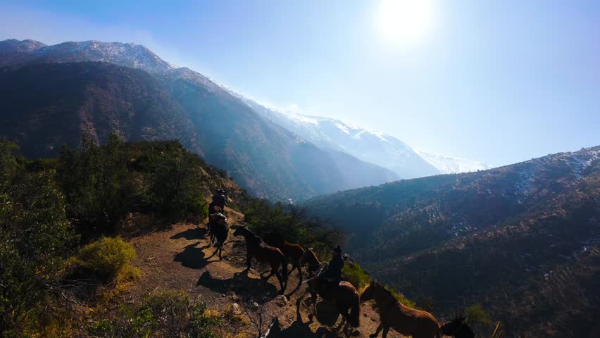FPV Drone Perspective of Horses on a Mountain Trail at Sunrise