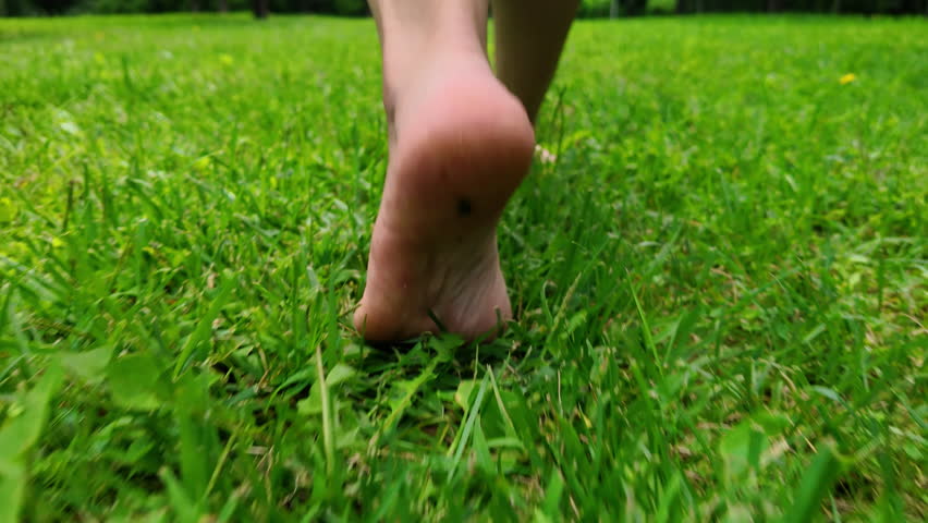 Woman feet barefoot walking on green grass of lawn close-up rear view.