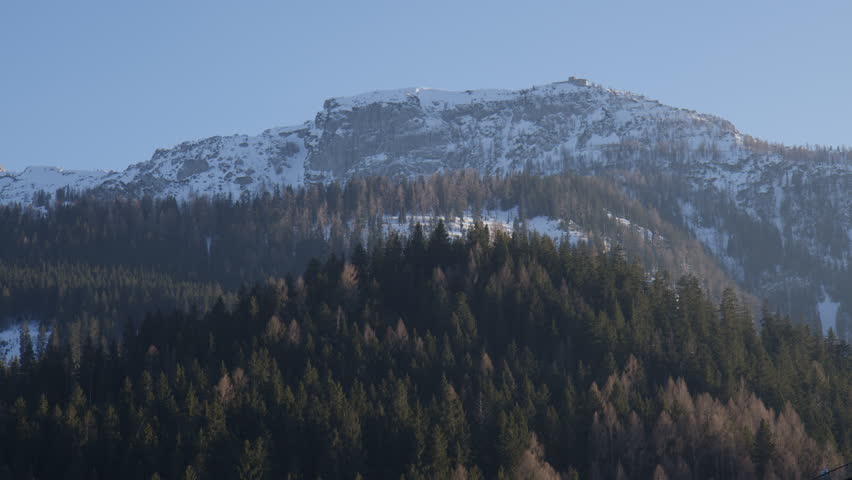 Pine Tree Forest with Snowy Bavarian Alps In The Background, Wide shot